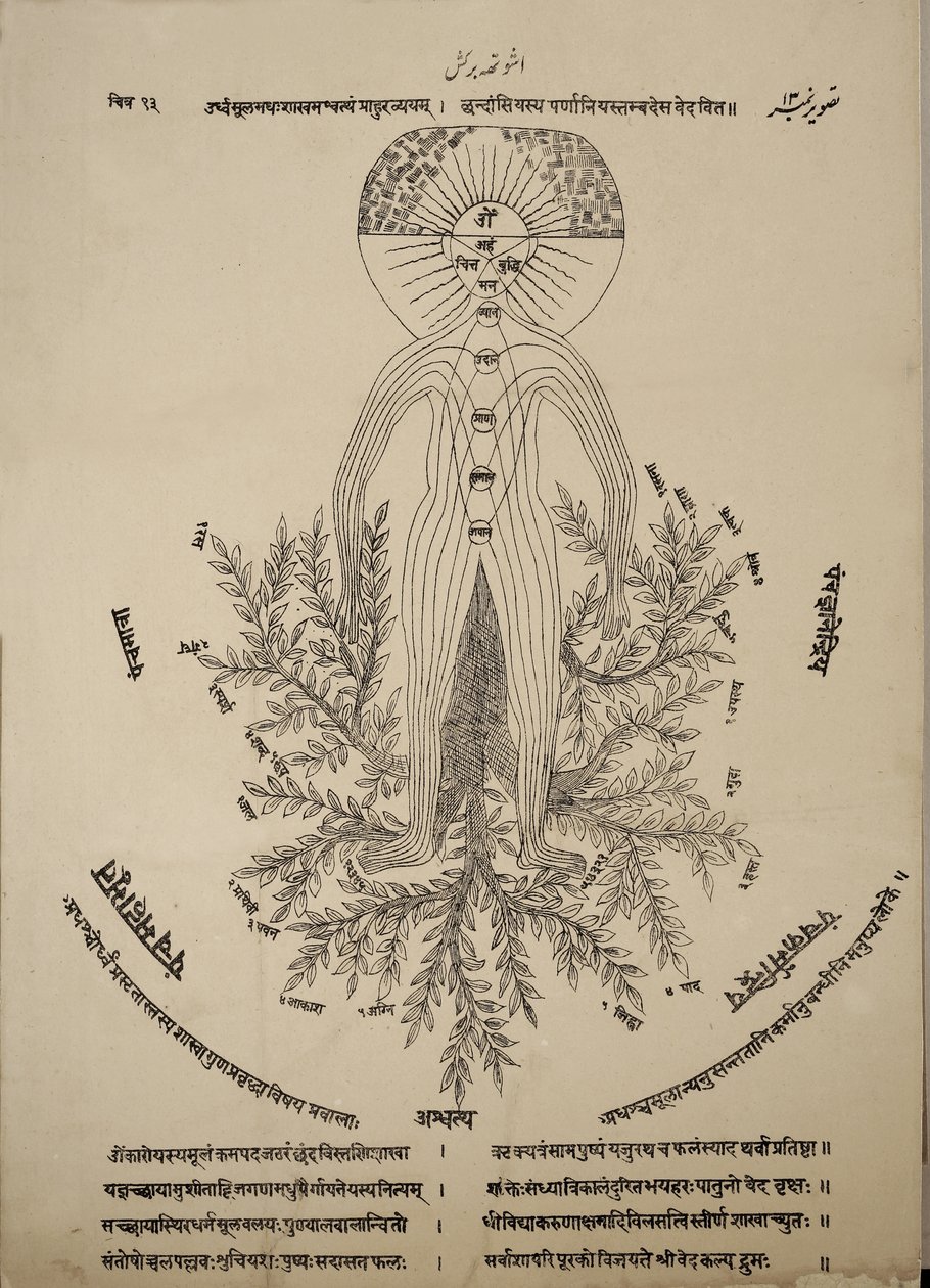 Diagrama mostrando pontos meridianos no corpo humano de Indian School