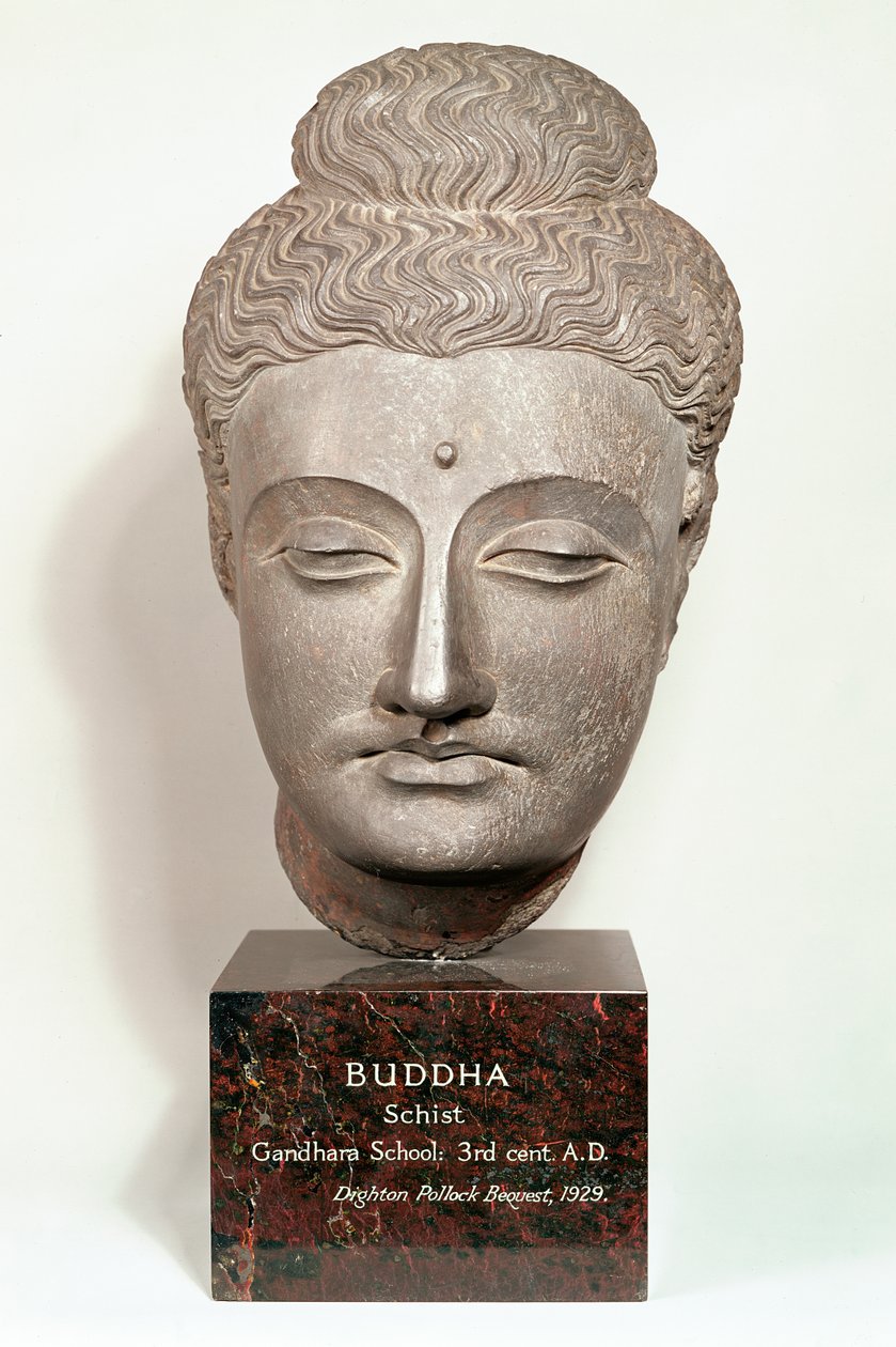 Cabeça de uma estátua do Buda, de Gandhara, noroeste da Índia (cinza xisto) de Indian School