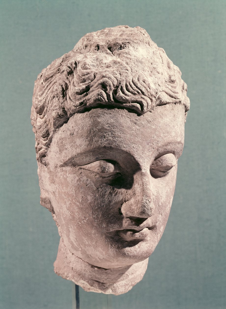 Cabeça de Buda, Gandhara, século 2-4 (estuque) de Indian School