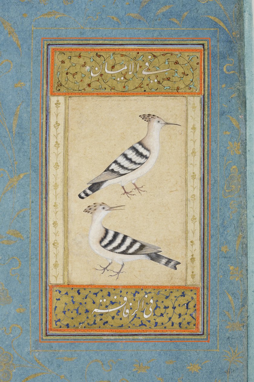 Hoopoes, c.1590 (wc opaca e ouro no papel) de Indian School