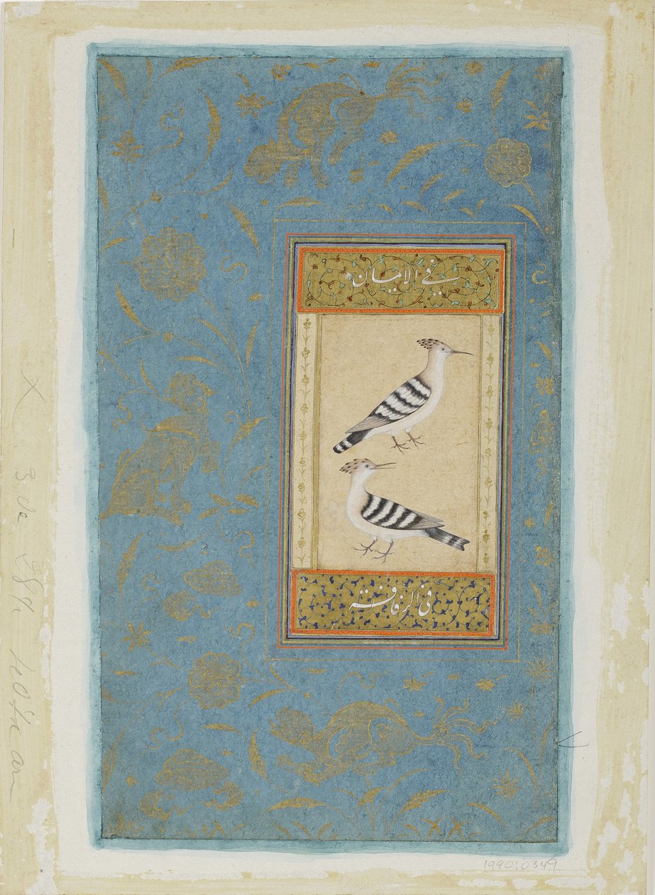 Hoopoes, c.1590 (wc opaca e ouro no papel) de Indian School