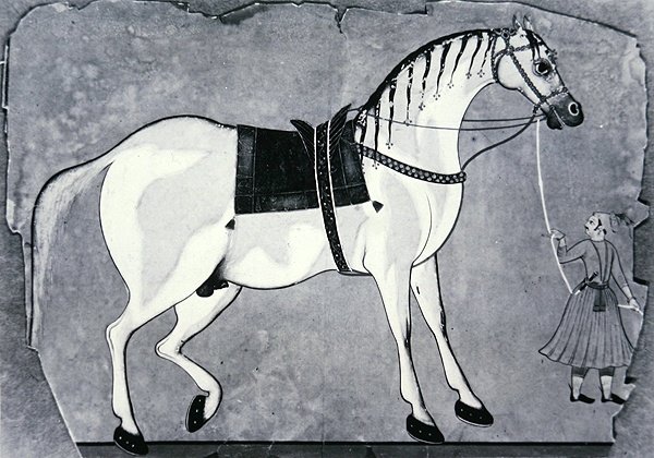 Cavalo e Noivo do Estábulo do Imperador, c.1660 (litho) de Indian School