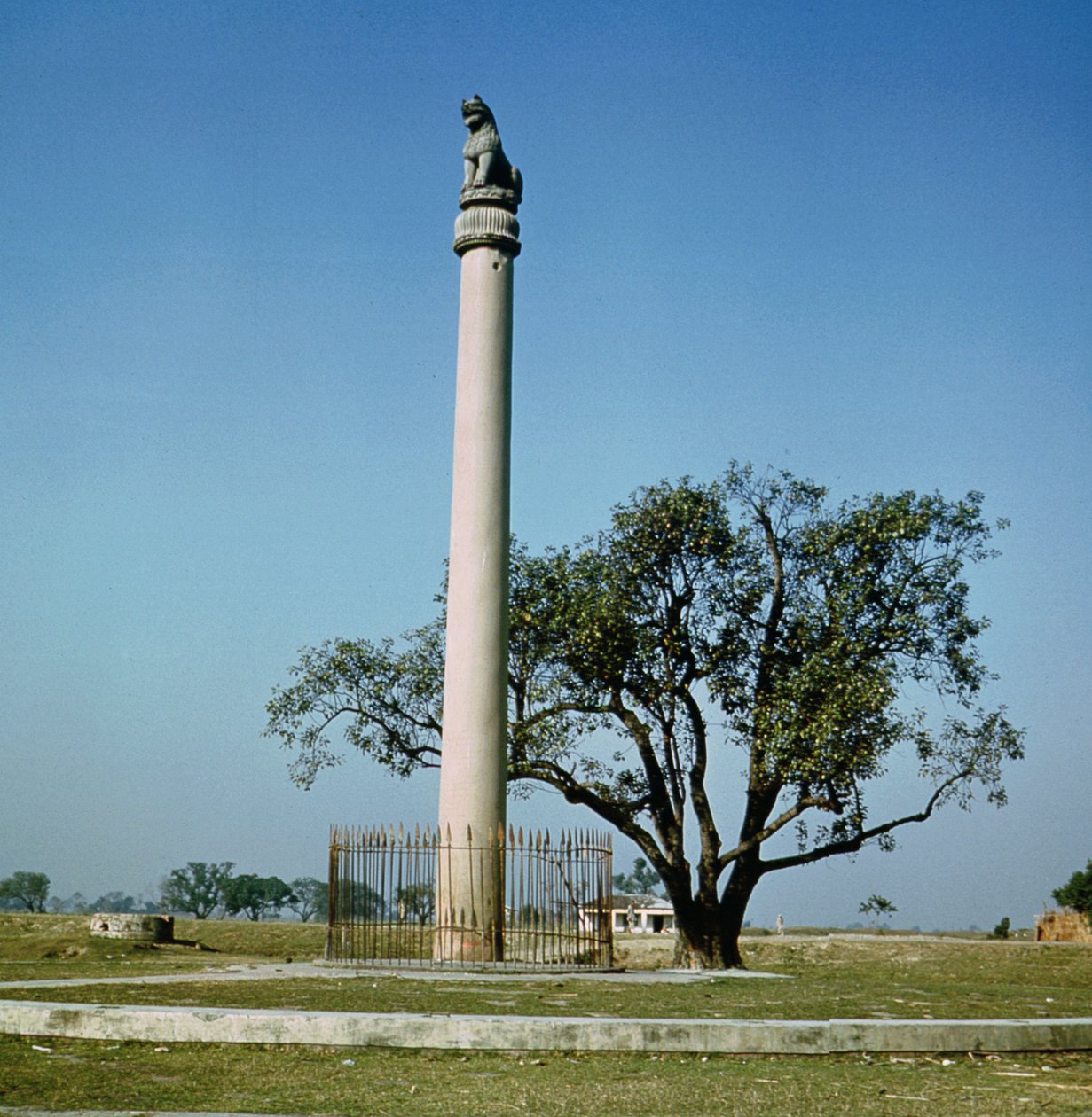 Pilar Leão do Imperador Ashoka (c.264-223 aC) de Indian School
