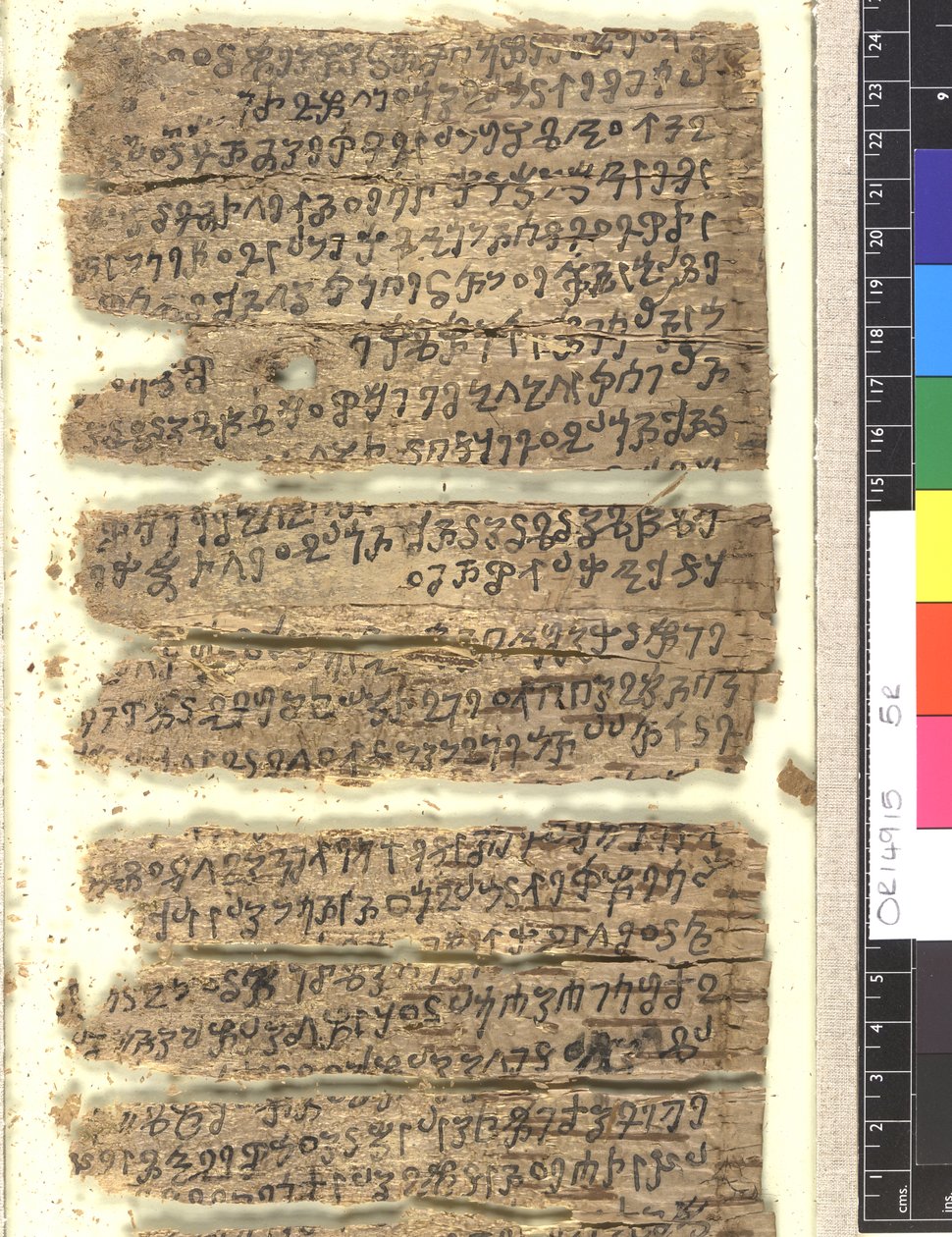 OMS OU 14915 f.5r Fragmentos de manuscrito de casca de bétula em Kharoṣṭi de Indian School