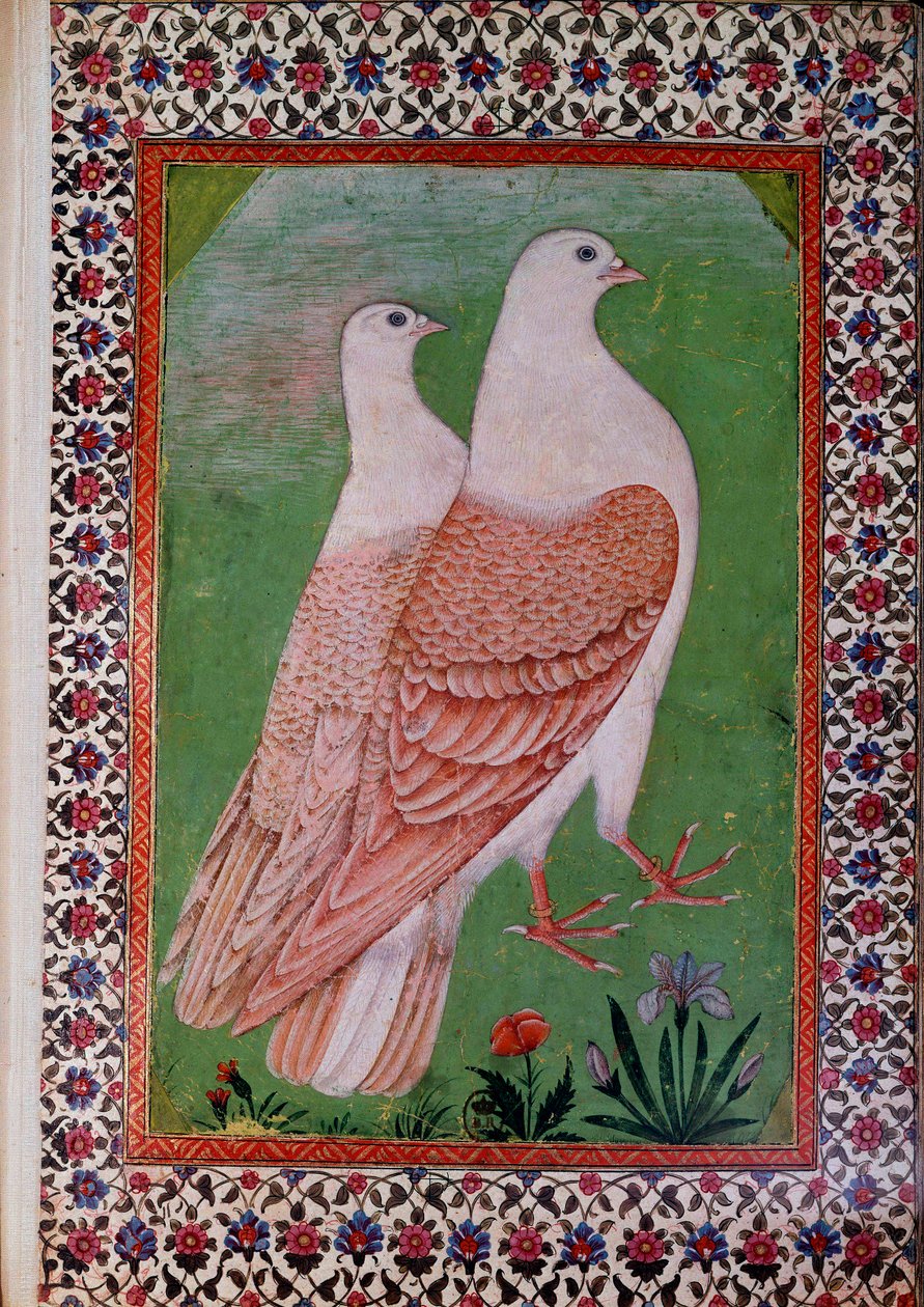 Arte oriental: dois pombos. Página de manuscrito indiano do século XVI. Paris, B.N. de Indian School