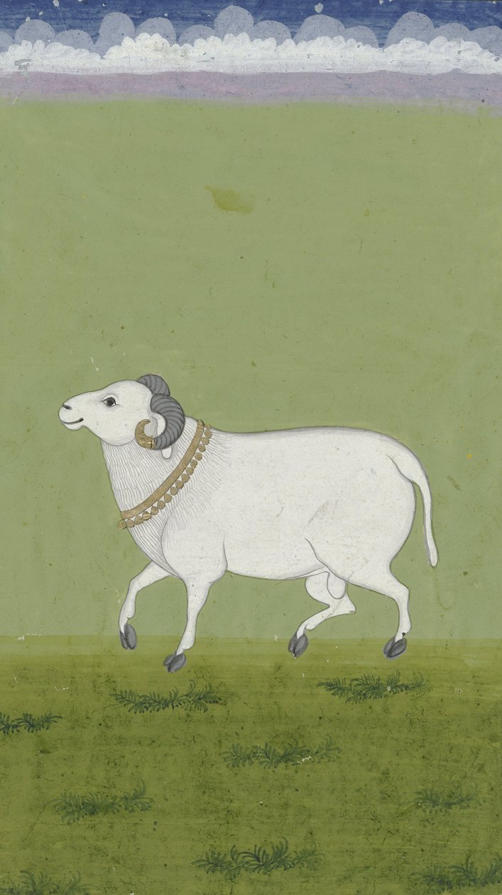 Ram com coleira dourada, 1700-1799 de Indian School