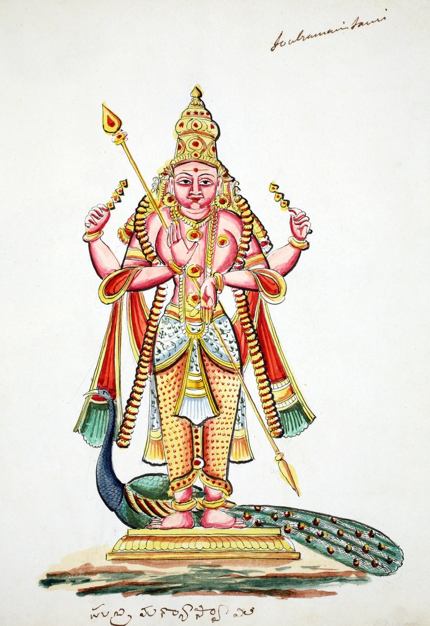 Skanda (wc no papel) de Indian School