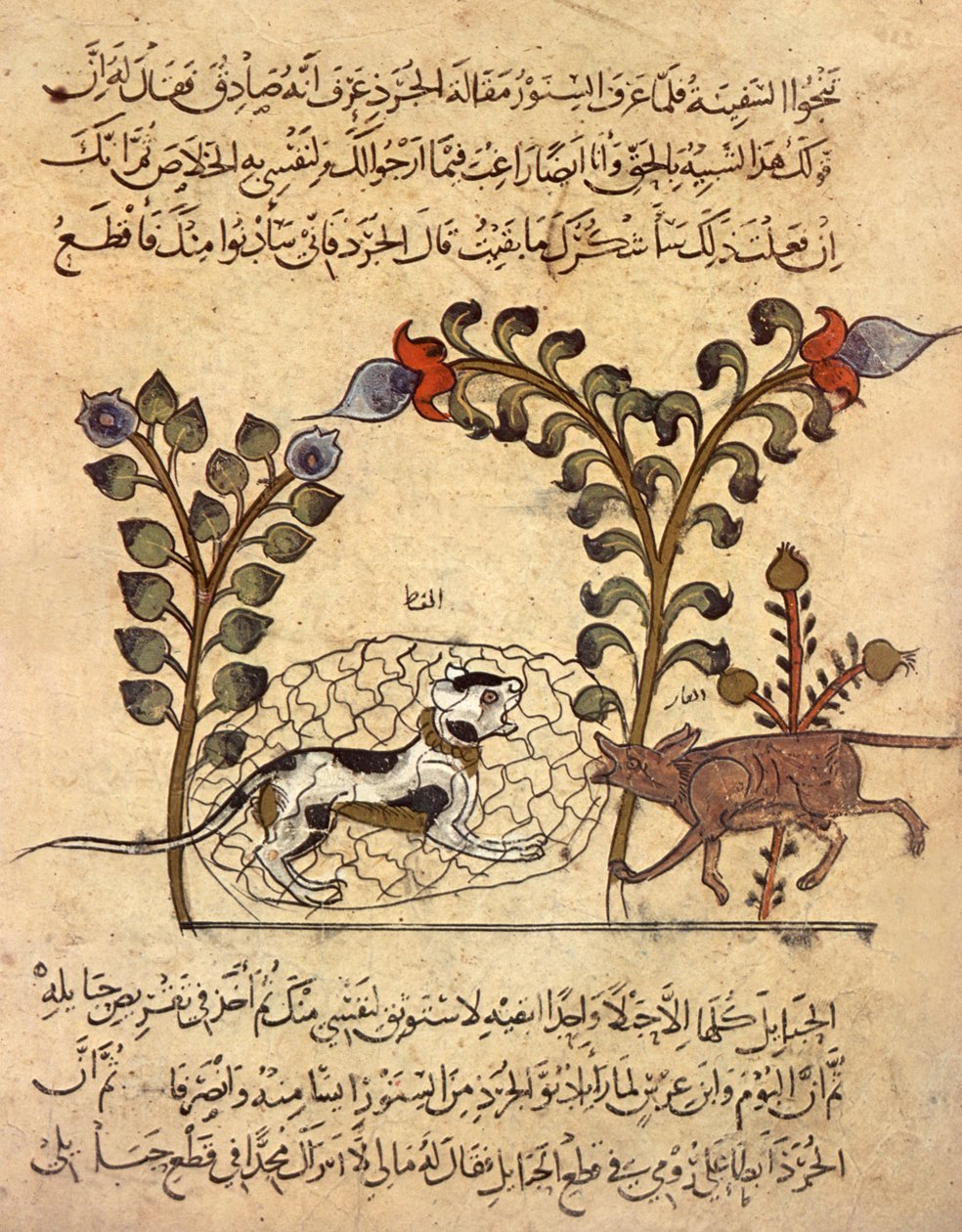 O gato e o rato, miniatura árabe de "Kalila va dimna" de Indian School