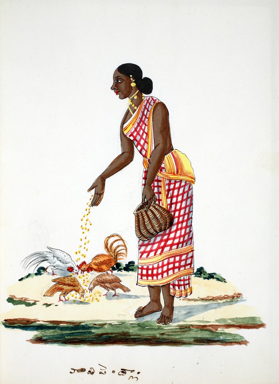 Mulher alimentando galinhas (wc no papel) de Indian School