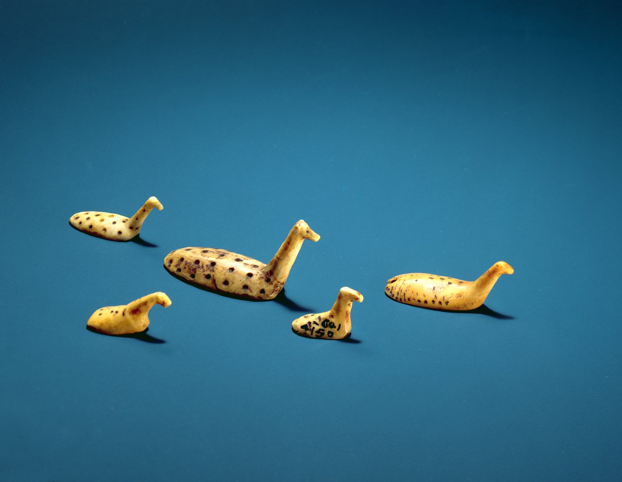 Esculturas de aves em terra Inuit (marfim) de Inuit School