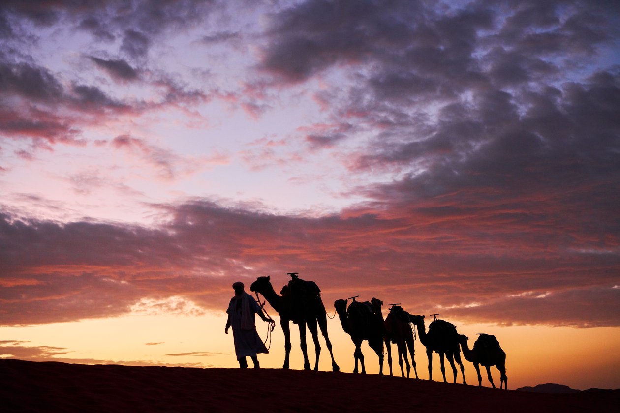 Um cameleiro conduz os seus camelos no Erg Chebbi, no deserto de Merzouga, Marrocos, 2019 (foto) de Ira Block