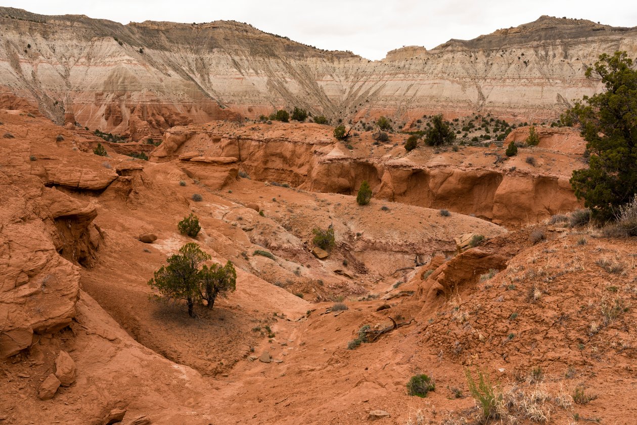 Uma paisagem no Parque Estatal de Kodachrome Basin, Utah, 2019 (foto) de Ira Block
