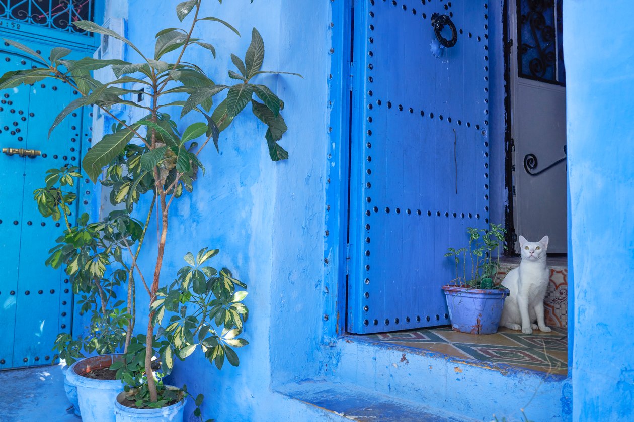 Uma cena de rua em Chefchaouen, a cidade azul de Marrocos, 2019 (foto) de Ira Block