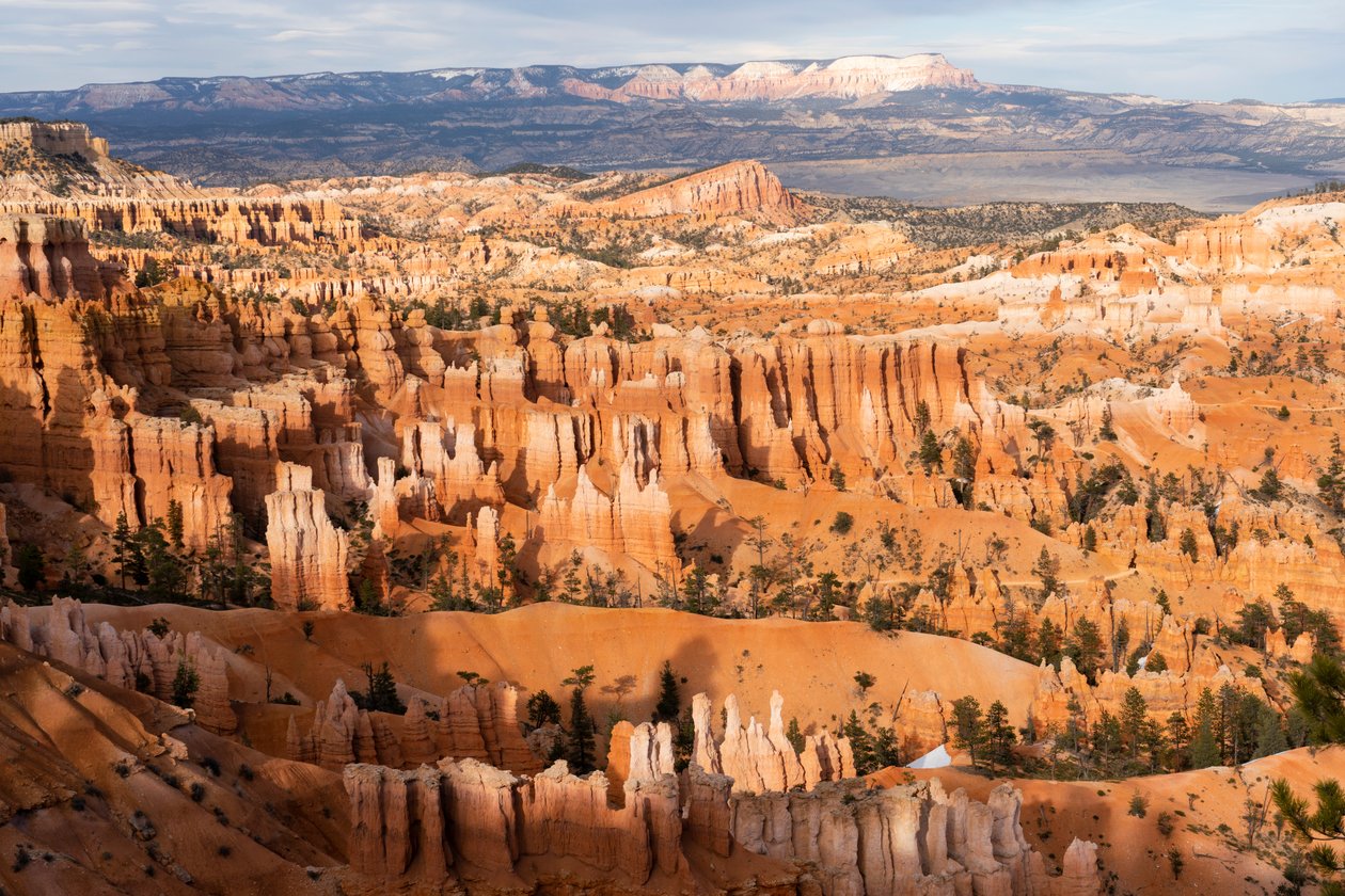 Hoodoos - espirais criadas pela erosão - no Parque Nacional de Bryce Canyon, no Utah, 2019 (foto) de Ira Block