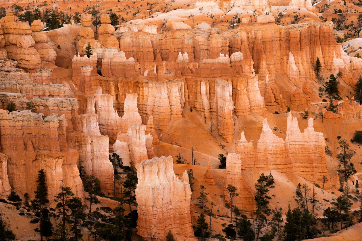 Hoodoos - espirais criadas pela erosão - no Parque Nacional de Bryce Canyon, no Utah, 2019 (foto) de Ira Block