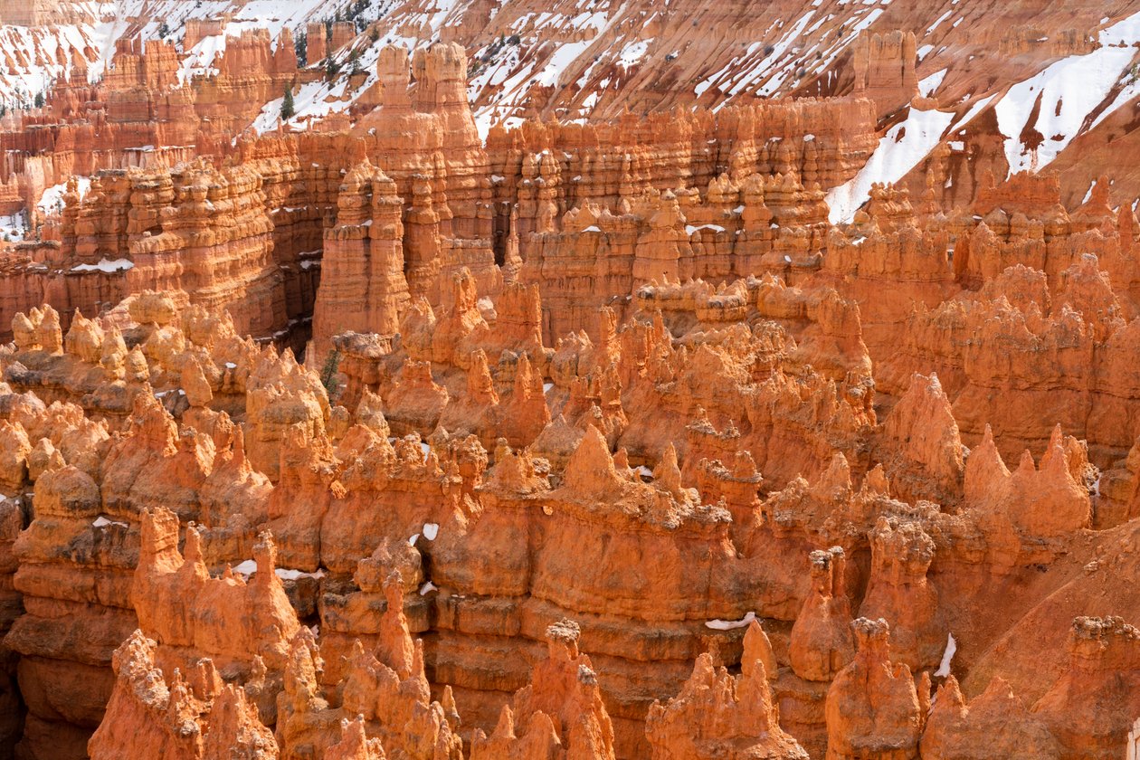 Hoodoos - espirais criadas pela erosão - no Parque Nacional de Bryce Canyon, no Utah, 2019 (foto) de Ira Block
