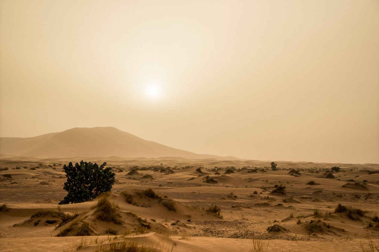 Dunas de areia no deserto de Erg Chebbi, no sudeste de Marrocos, 2014 (foto) de Ira Block