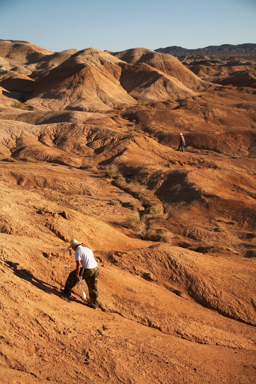 Cenas em torno de Wu Cai Wan no deserto de Gobi, Xinjiang, China Ocidental, 2007 (foto) de Ira Block