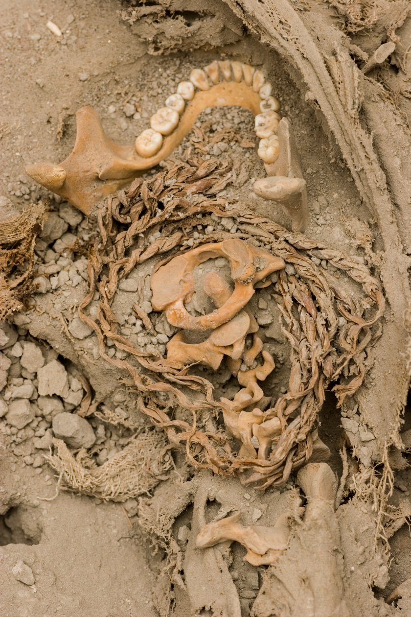 Os restos do sacrifício feminino, 2005 (foto) de Ira Block