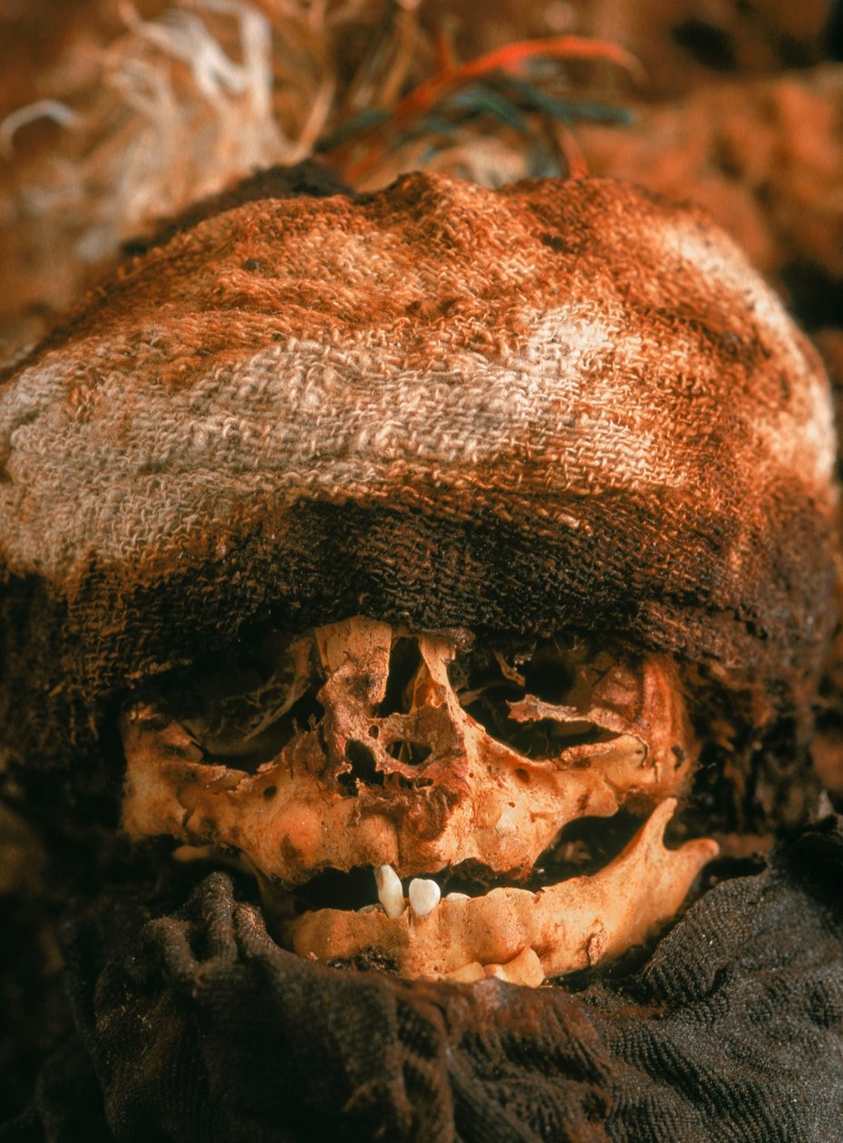 O crânio de um bebé que foi empacotado e enterrado, 2001 (foto) de Ira Block