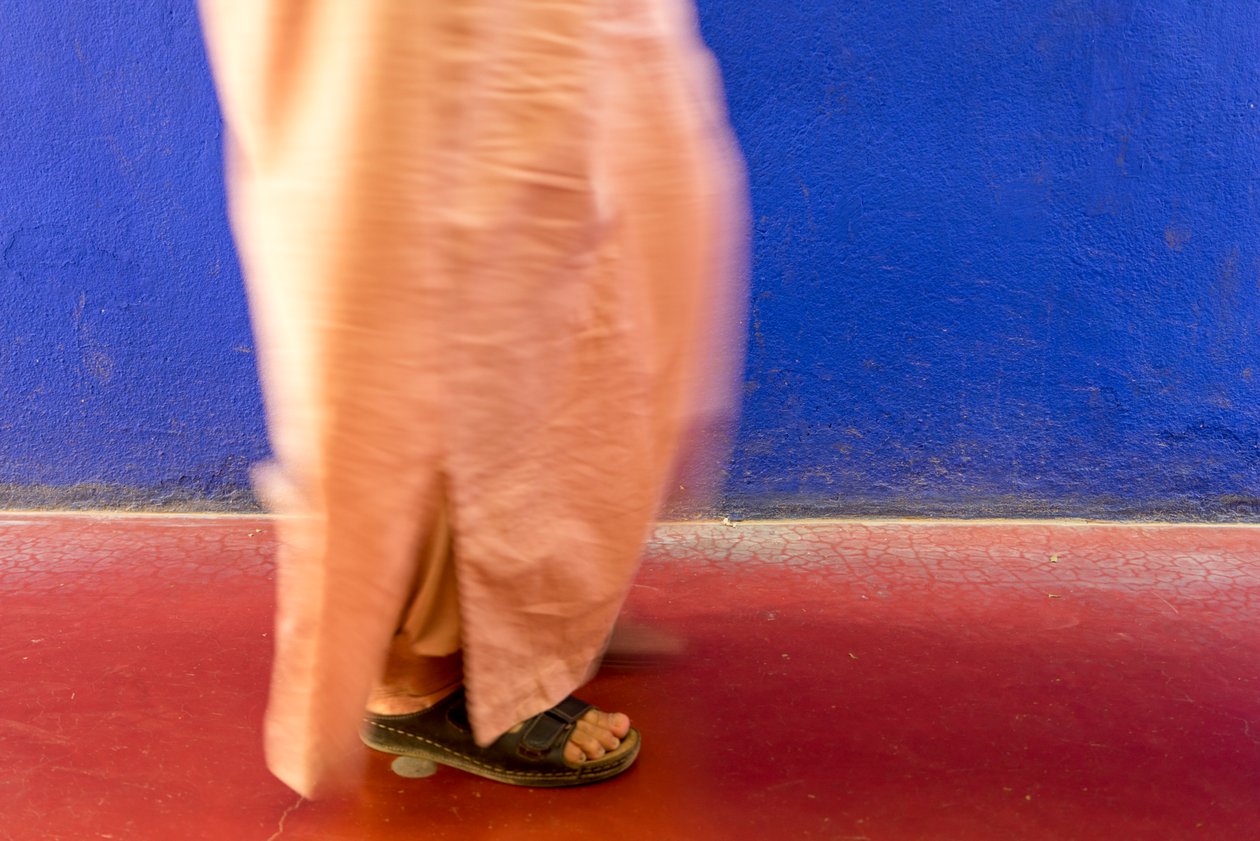 Passando por um muro azul no Jardim Majorelle, em Marraquexe, Marrocos, 2014 (foto) de Ira Block