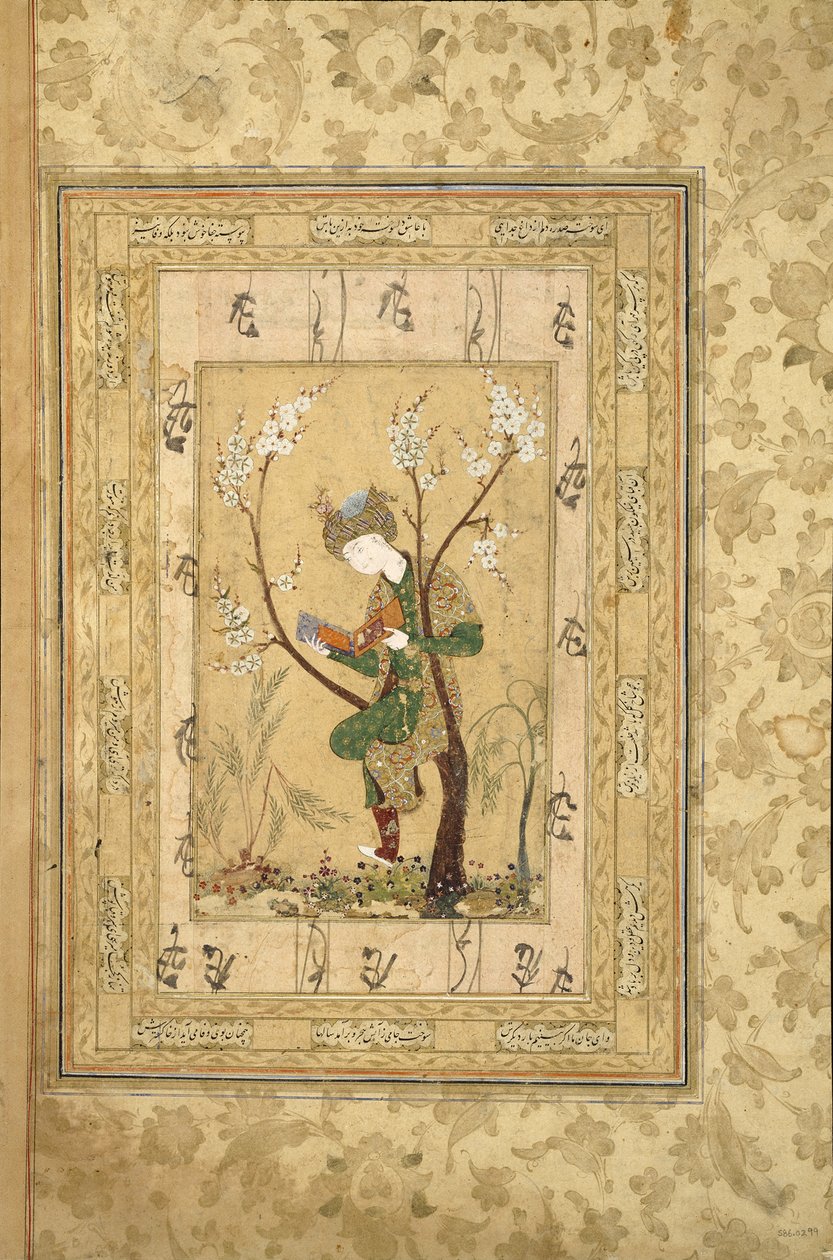 Jovens sentados no garfo de uma árvore florescendo, década de 1560 de Iranian Master