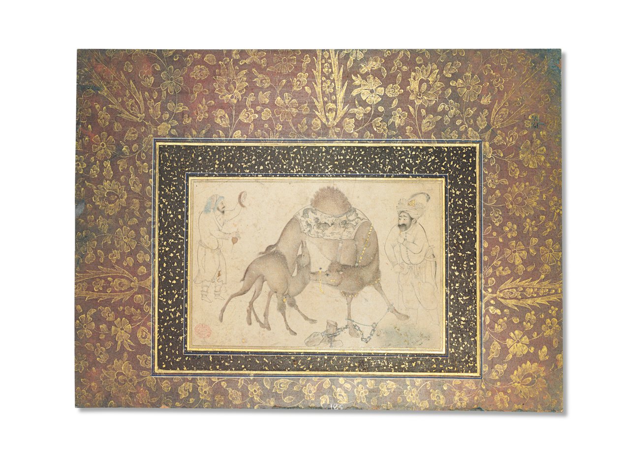 Um camelo e seu bezerro, Safavid Iran, 1650-1700 de Iranian School