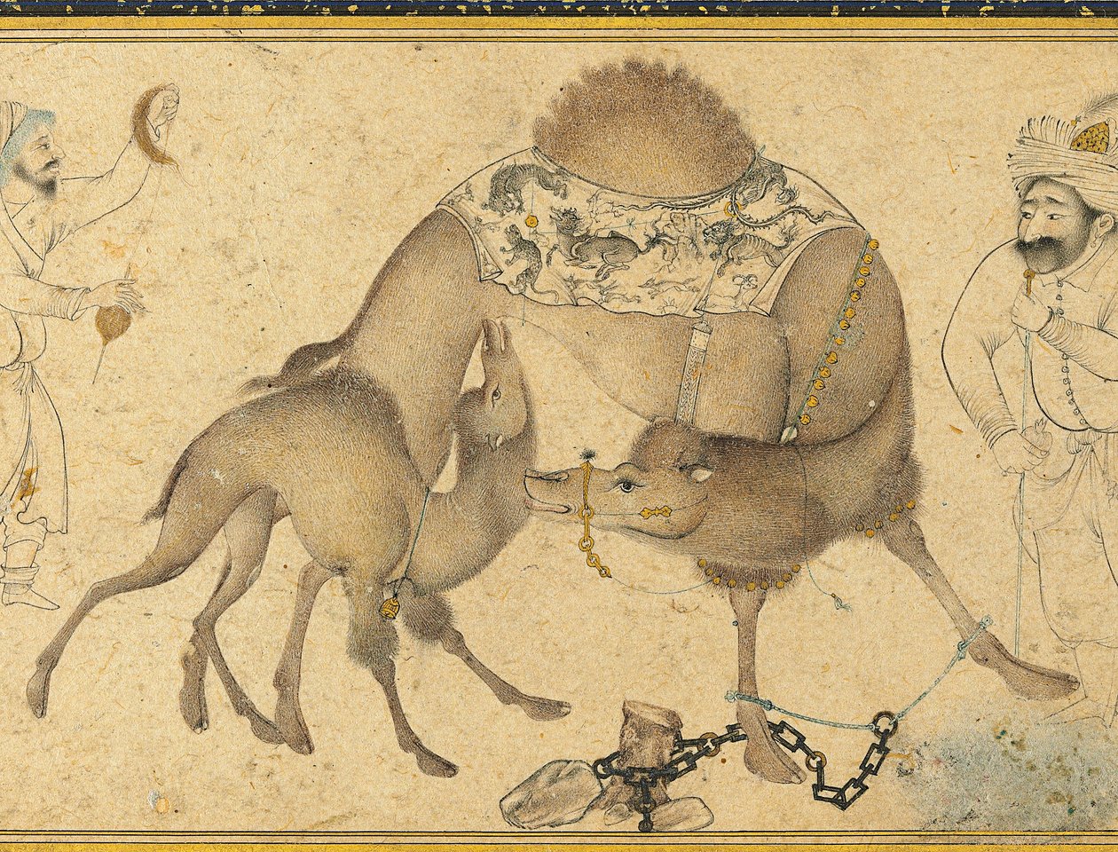Um camelo e seu bezerro, Safavid Iran, 1650-1700 de Iranian School