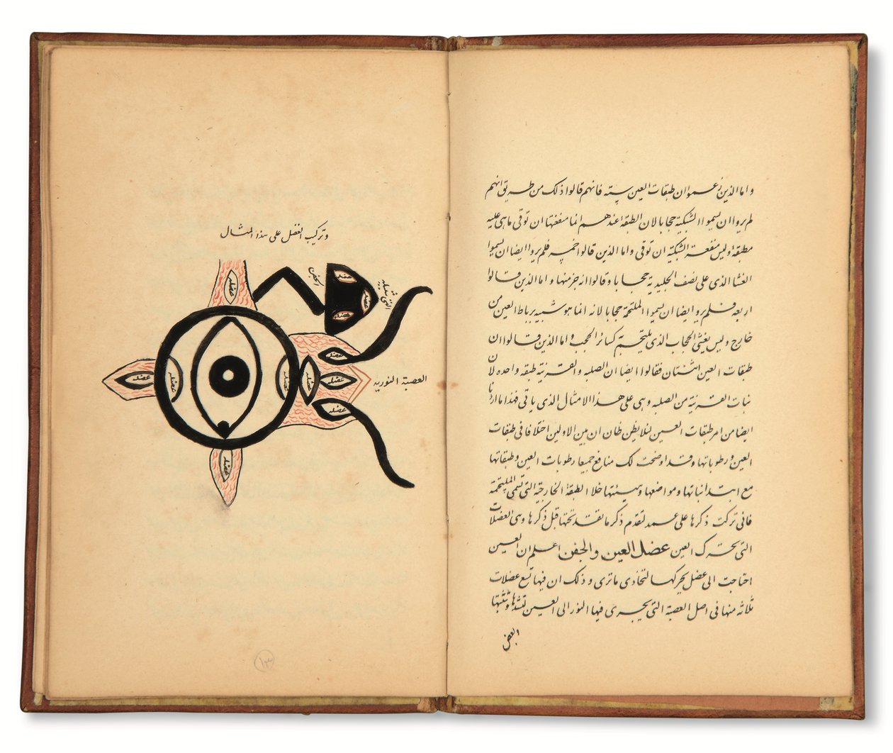 Hunayn Bin Ishaq (d.873 d.C.): Três tratados (Maqalat) sobre oftalmologia, Qajar, Irão, primeira metade do século XIX (tinta sobre papel) de Iranian School