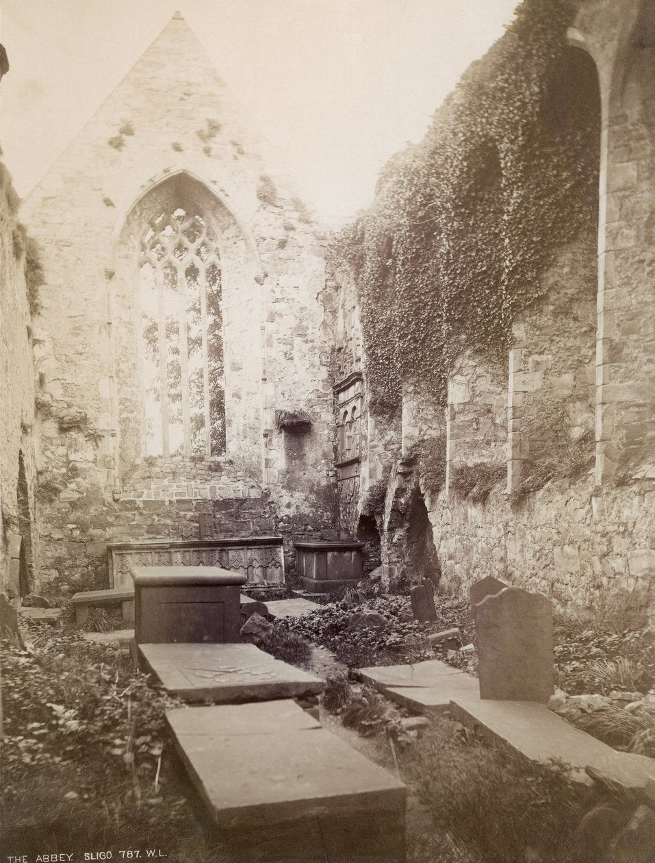 As ruínas da Abadia de Sligo (foto sépia) de Irish Photographer
