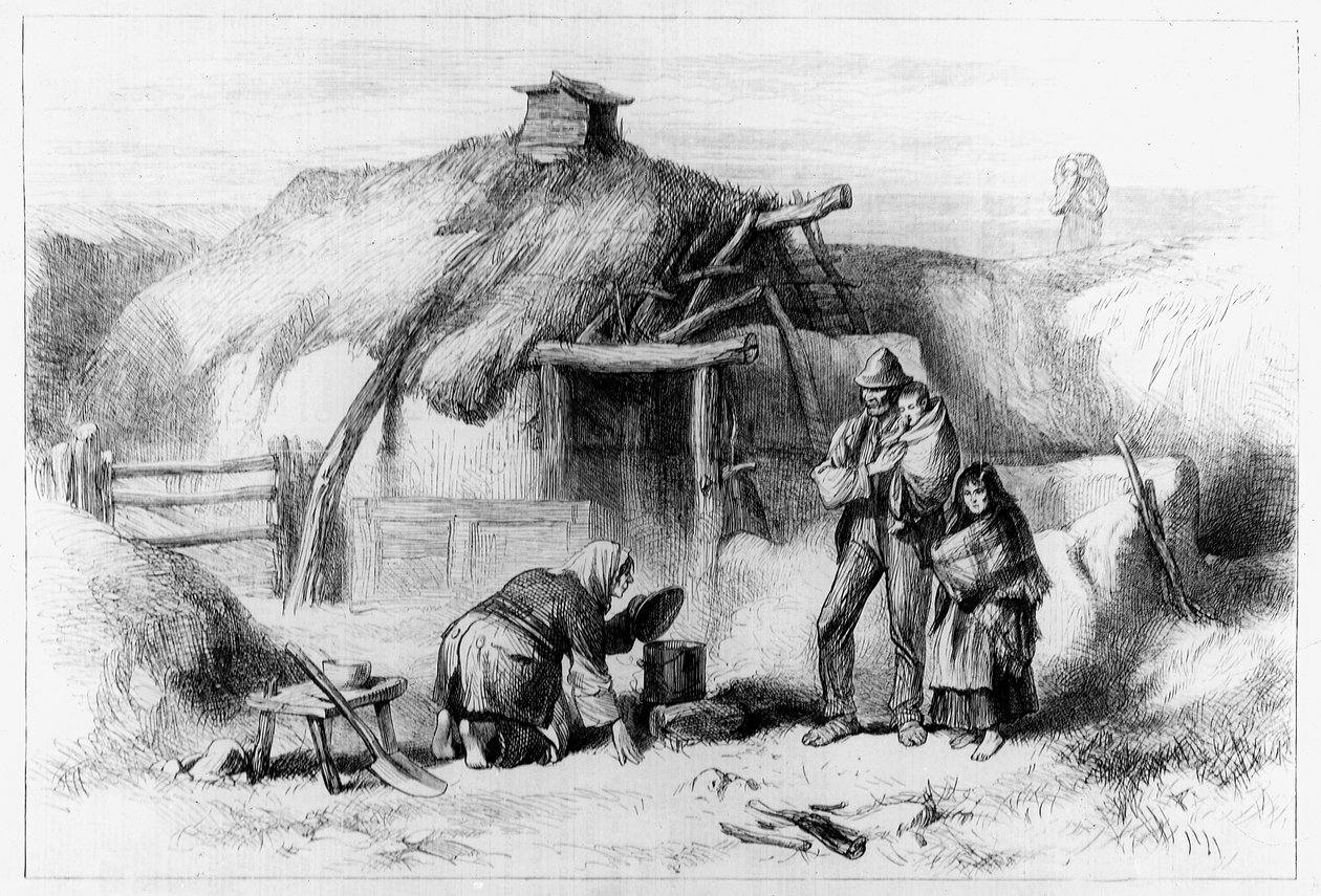 Cabine Bog-Trotters, de &39;The Illustrated London News&39; de 1879 de Irish School