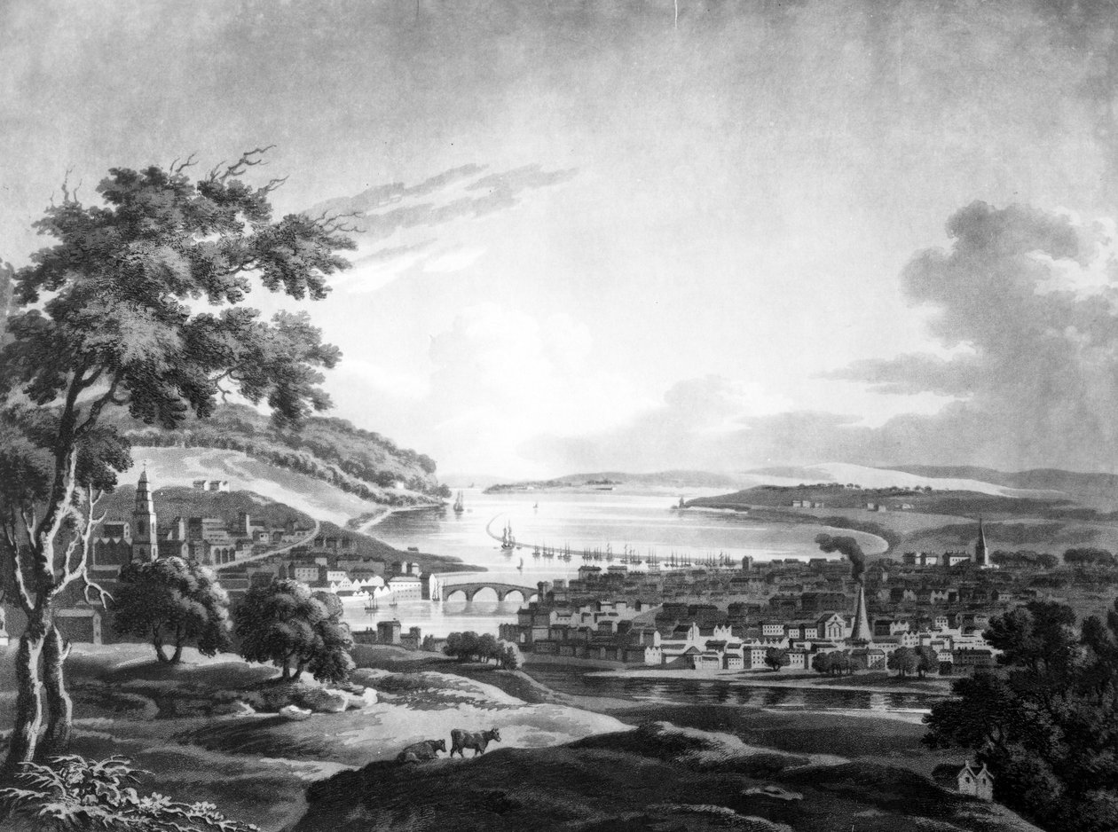 A cidade de Cork, 1799 (mezzotint) de Irish School
