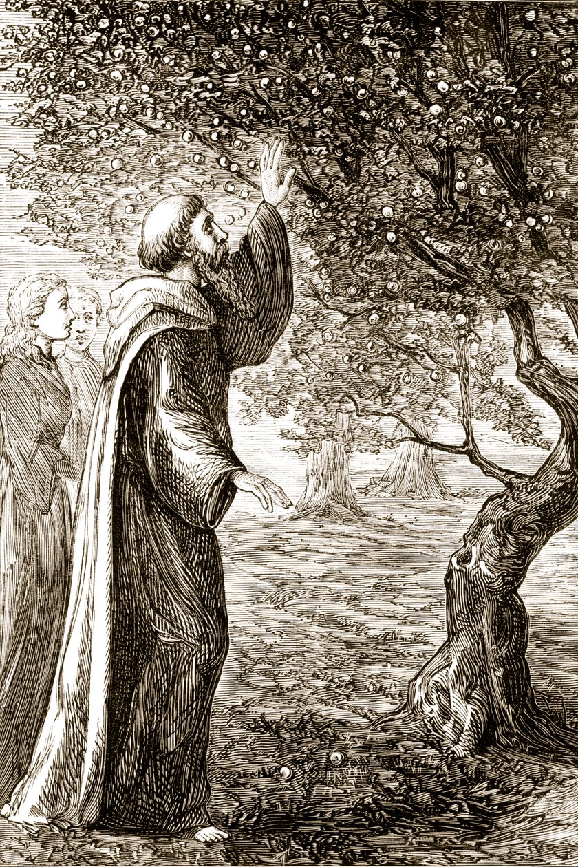 São Columba transforma frutos amargos em doces, de The Trias Thaumaturga, ou "Três Santos da Obra-Maravilha da Irlanda", de Mary Cusack (1829-99), publicada em 1890 de Irish School