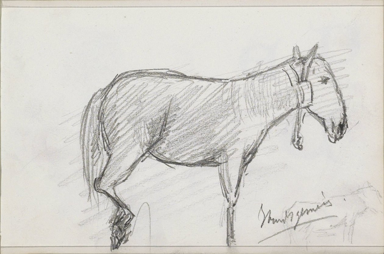 Cavalo de Isaac Gosschalk