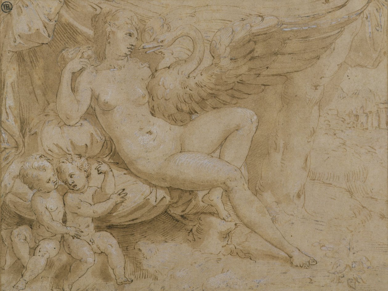 Leda e o Cisne (caneta e tinta, lavagem e corpinho branco sobre papel) de Isaac Oliver