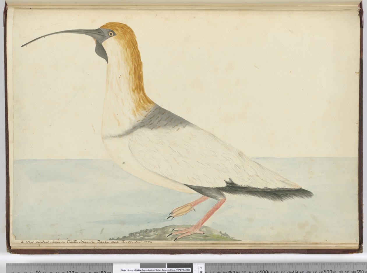F.52 Um novo maçarico. Visto em Staten Island Tierra del Fuego Jan. 1774, 1772-75 (wc) de Isaac Smith