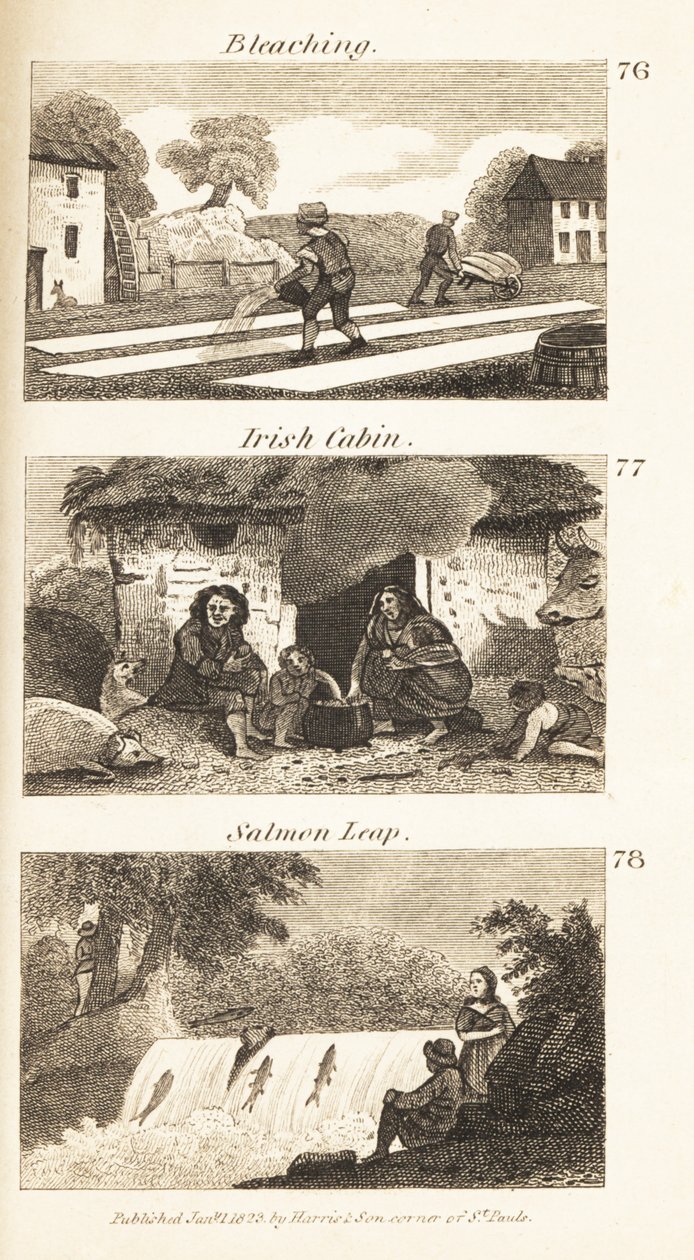 O comércio na Regency Ireland: branqueamento, cabina irlandesa e salto de salmão de Isaac Taylor