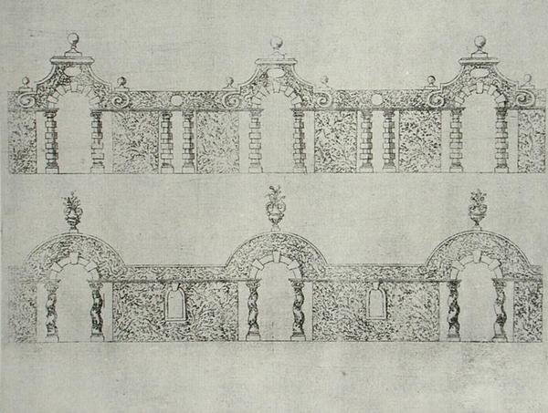 Desenhos de passadeiras arqueadas topiarias de 