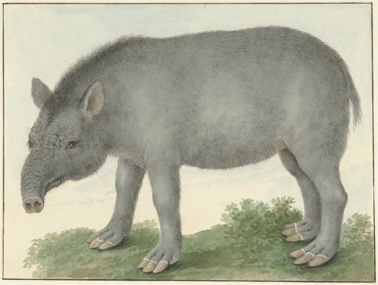 Anta de Isaac van Haastert
