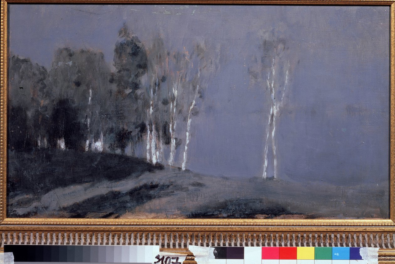 Noite de lua cheia. Pintura de Isaac (Isaac) Ilyich Levitan (1860-1900), óleo sobre tela, por volta de 1890. Arte russa, paisagem do século XIX. Galeria Estatal Tretyakov, Moscou. de Isaak Ilyich Levitan