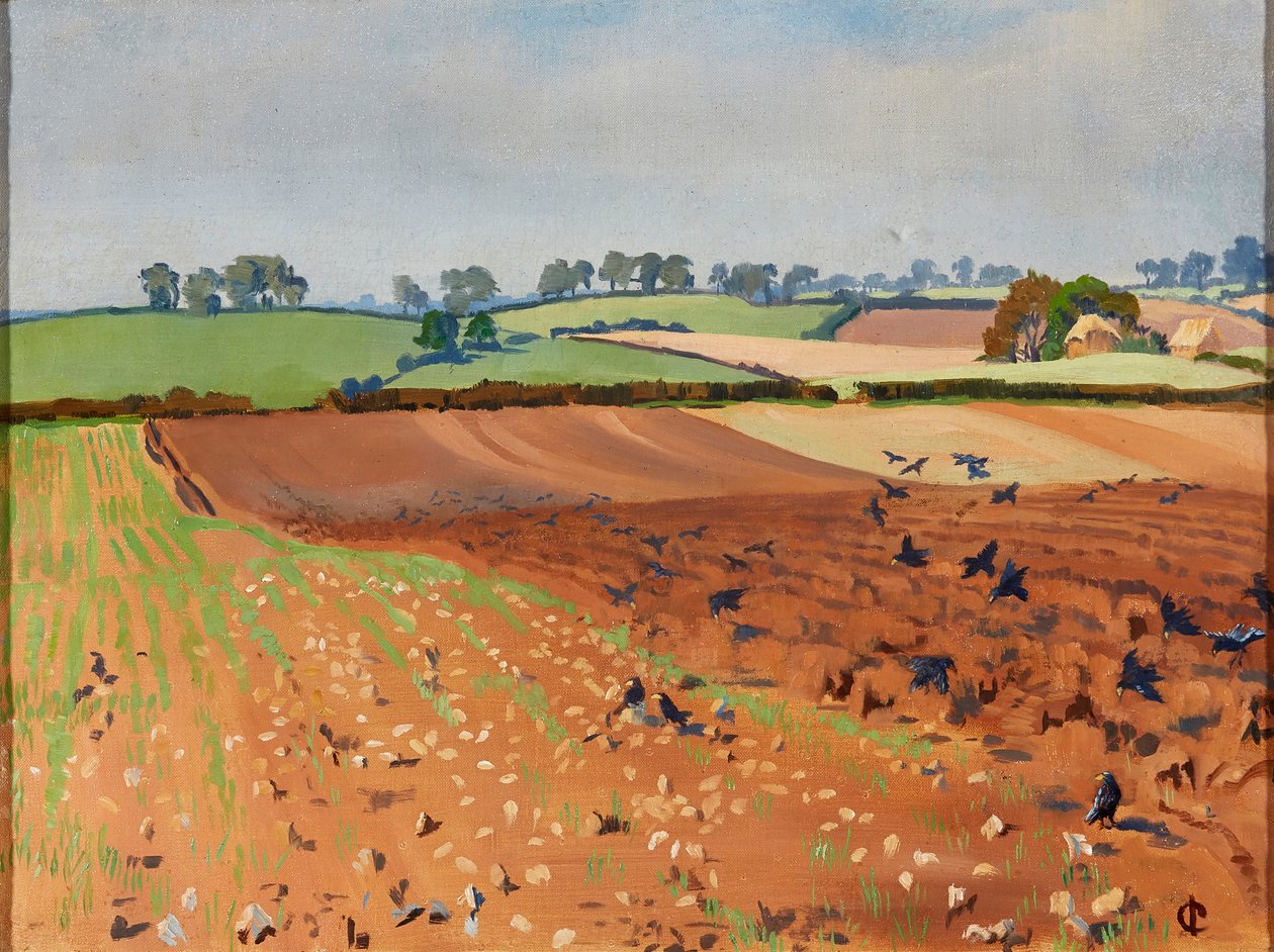 Campo Arado (óleo sobre tela) de Isabel Codrington