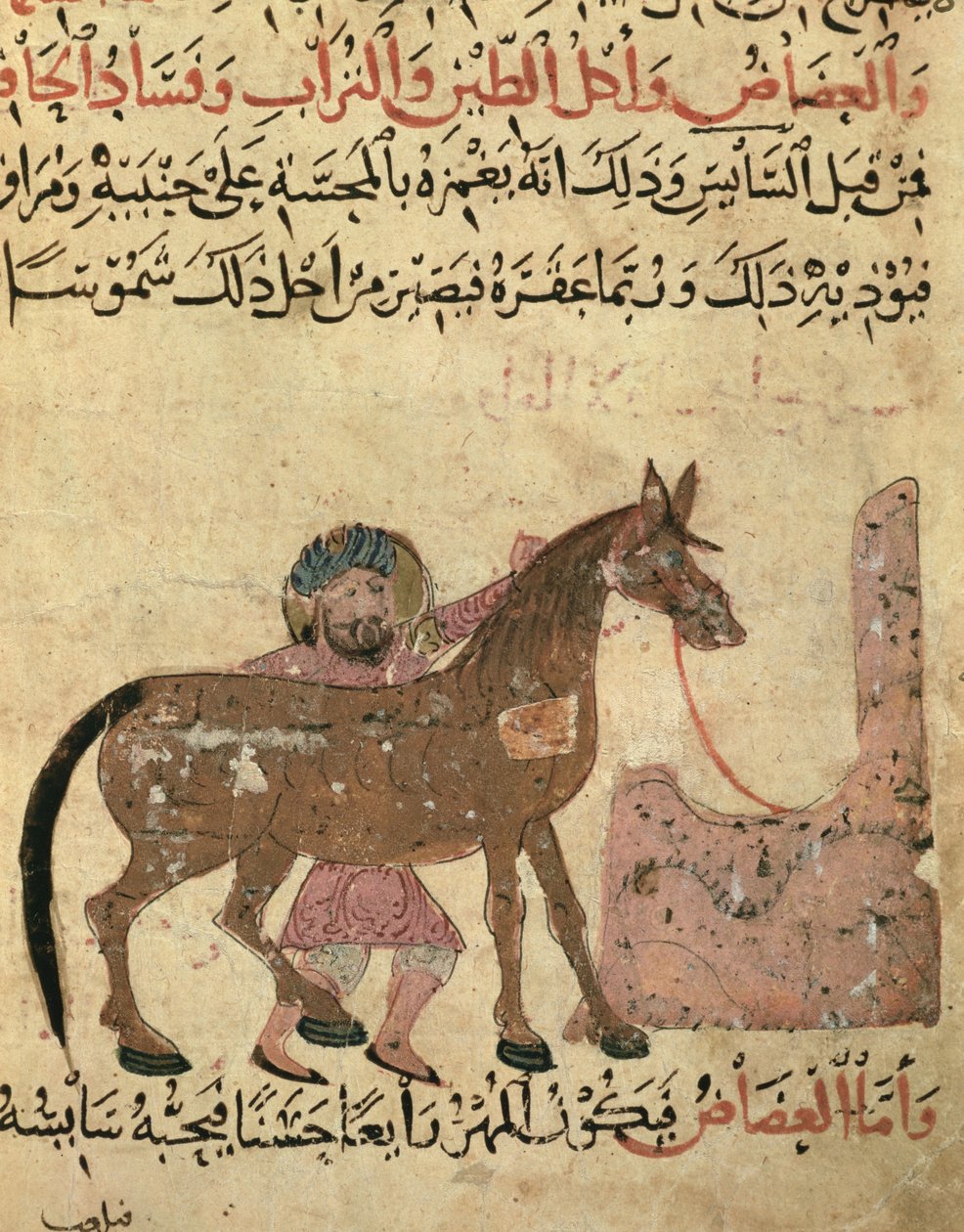 Cuidando do cavalo, ilustração do "Livro de Farriery", de Ahmed ibn al-Husain ibn al-Ahnaf, 1210 de Islamic School