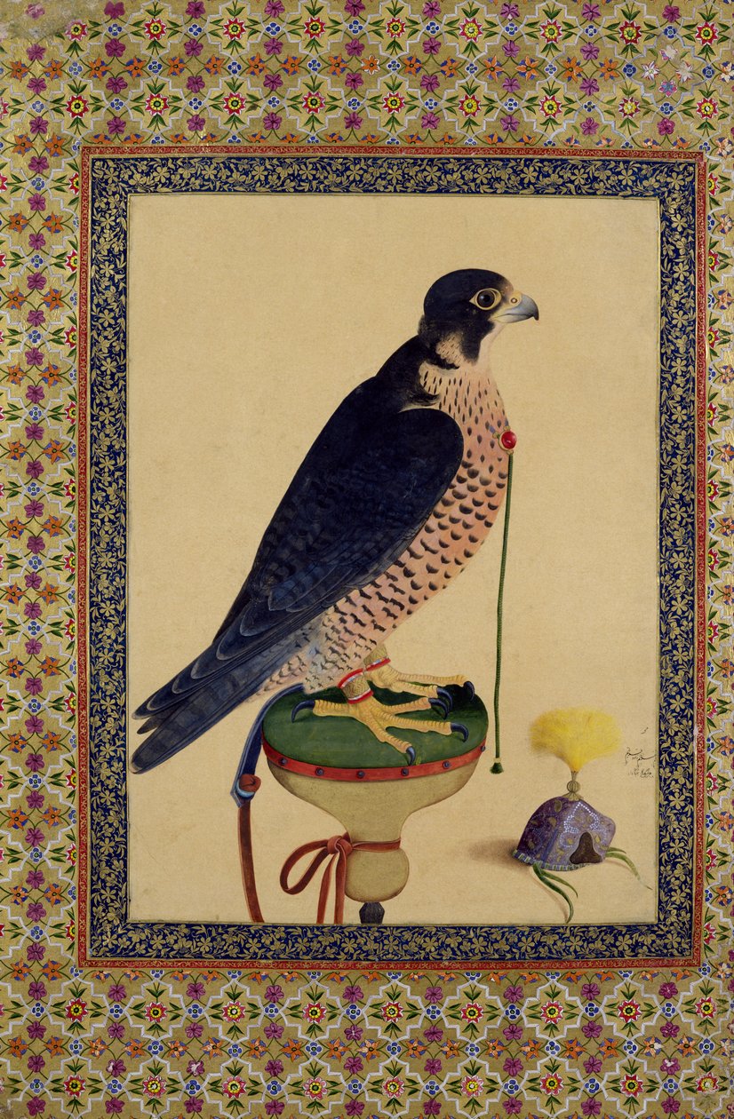 Ms E-14 Falcon, de um Moraqqa de Islamic School