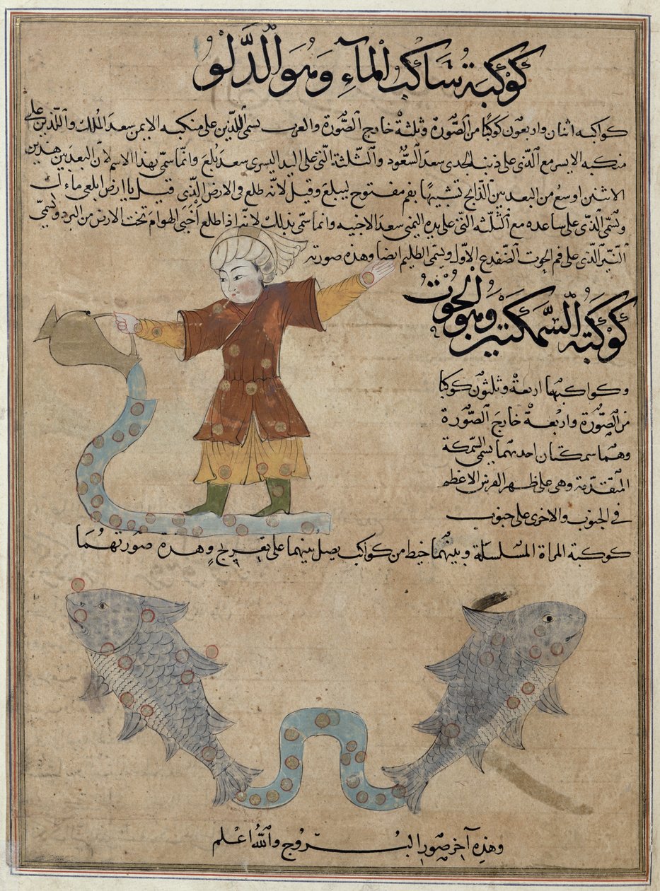 Ms E-7 fol.25a Aquário e Peixes, de "As Maravilhas da Criação e as Curiosidades da Existência" por Zakariya&39;ibn Muhammed al-Qazwini de Islamic School