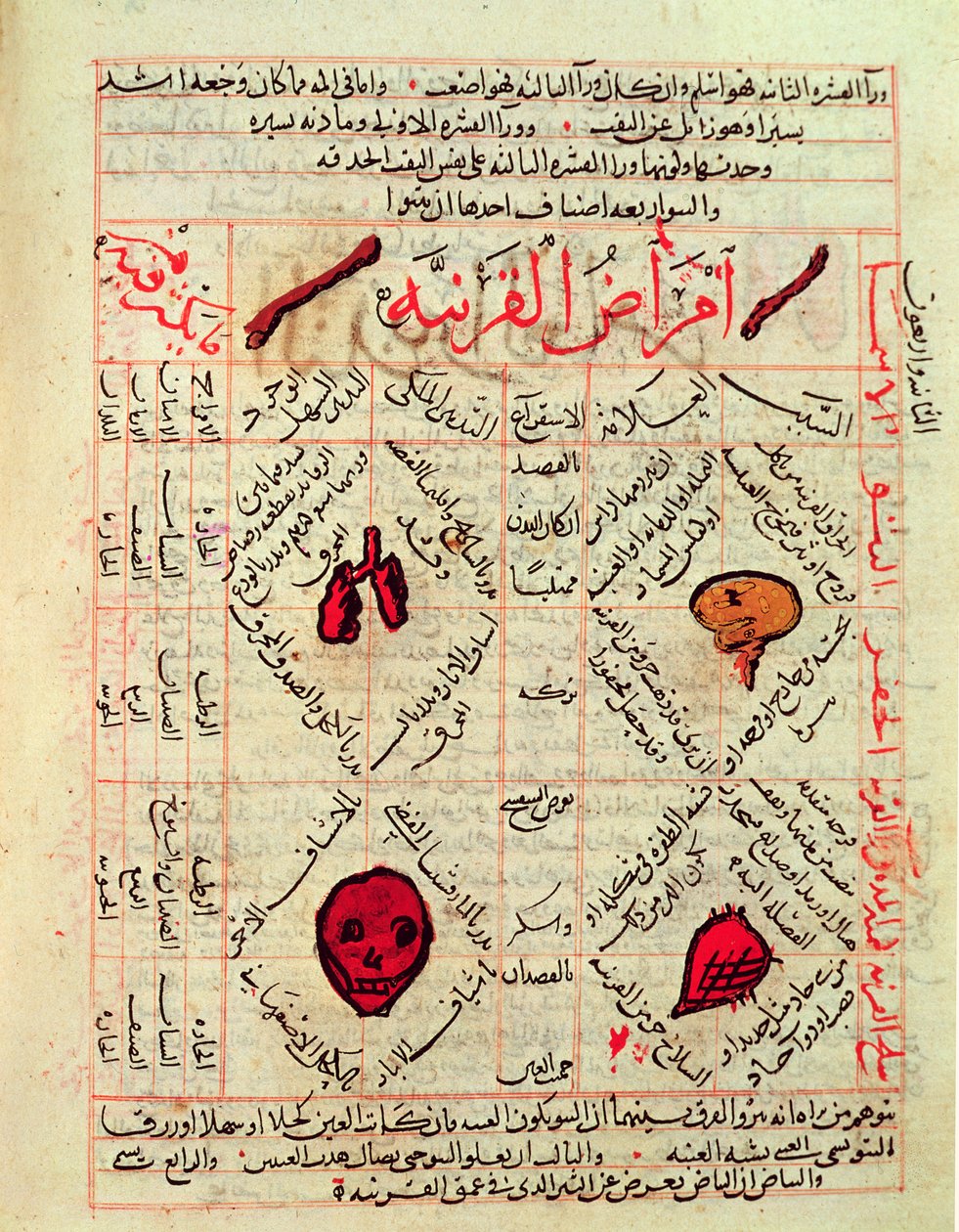 Página do &39;Canon of Medicine&39; de Avicena (Ibn Sina) (980-1037) de Islamic School