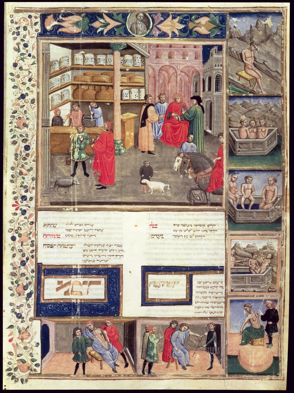 Página do &39;Canon of Medicine&39; de Avicena (Ibn Sina) (980-1037) de Islamic School