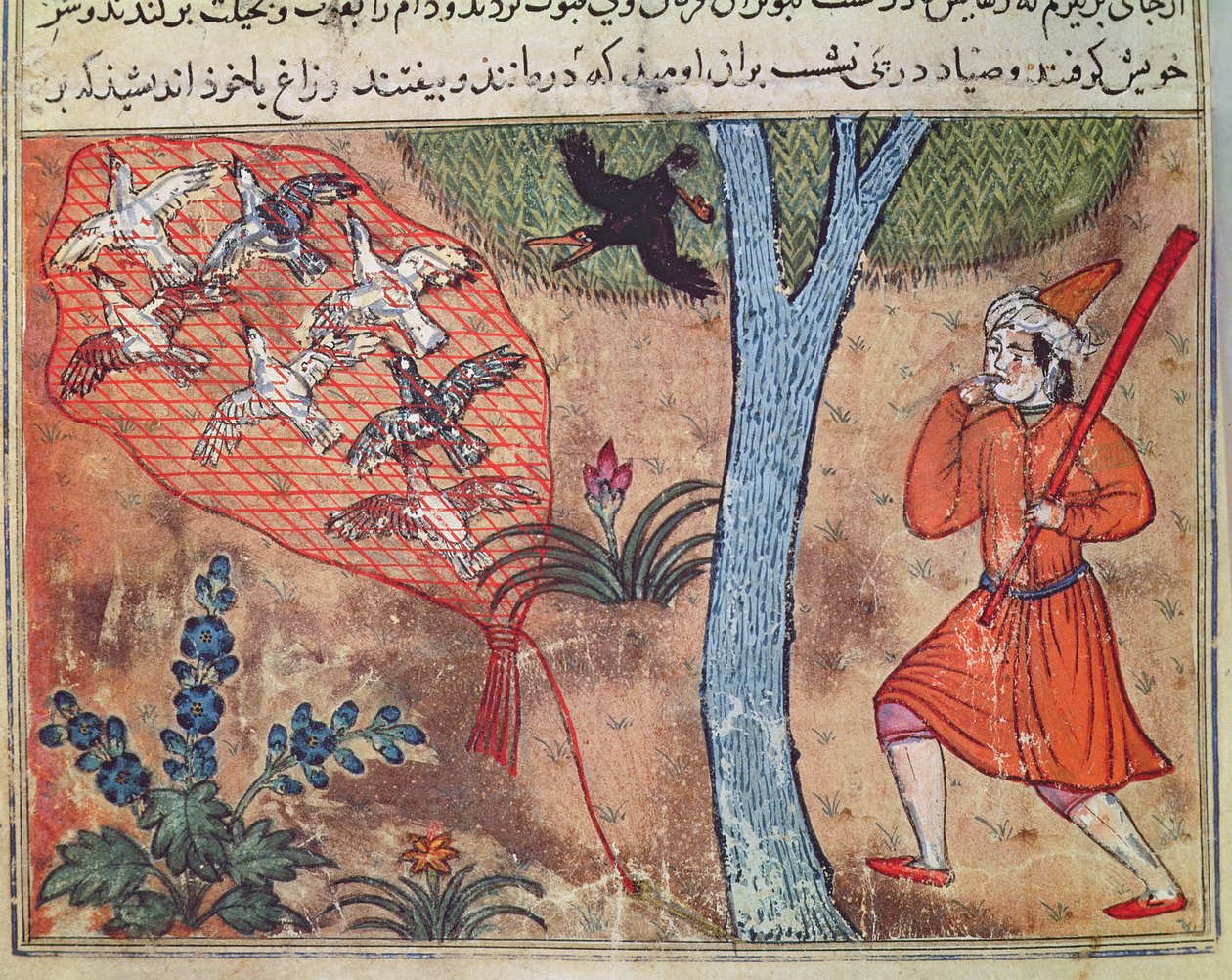 Aves de Caça, de &39;O Livro de Kalila e Dimna&39;, de &39;The Fables of Bidpay&39; de Islamic School