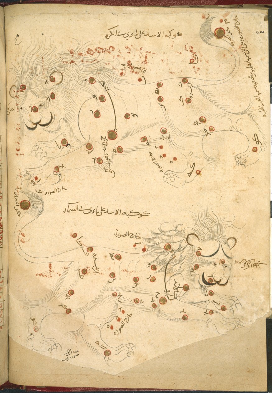 Ou 5323 f.45v Dois leões, ilustração de "Uma descrição das estrelas fixas", de Abd al-Rahman al-Sufi (tinta e cor sobre papel) de Islamic School