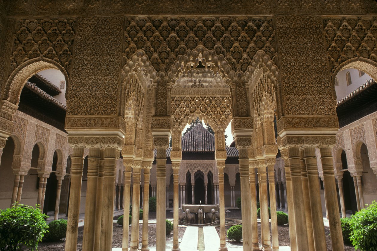 A corte dos leões de Islamic School