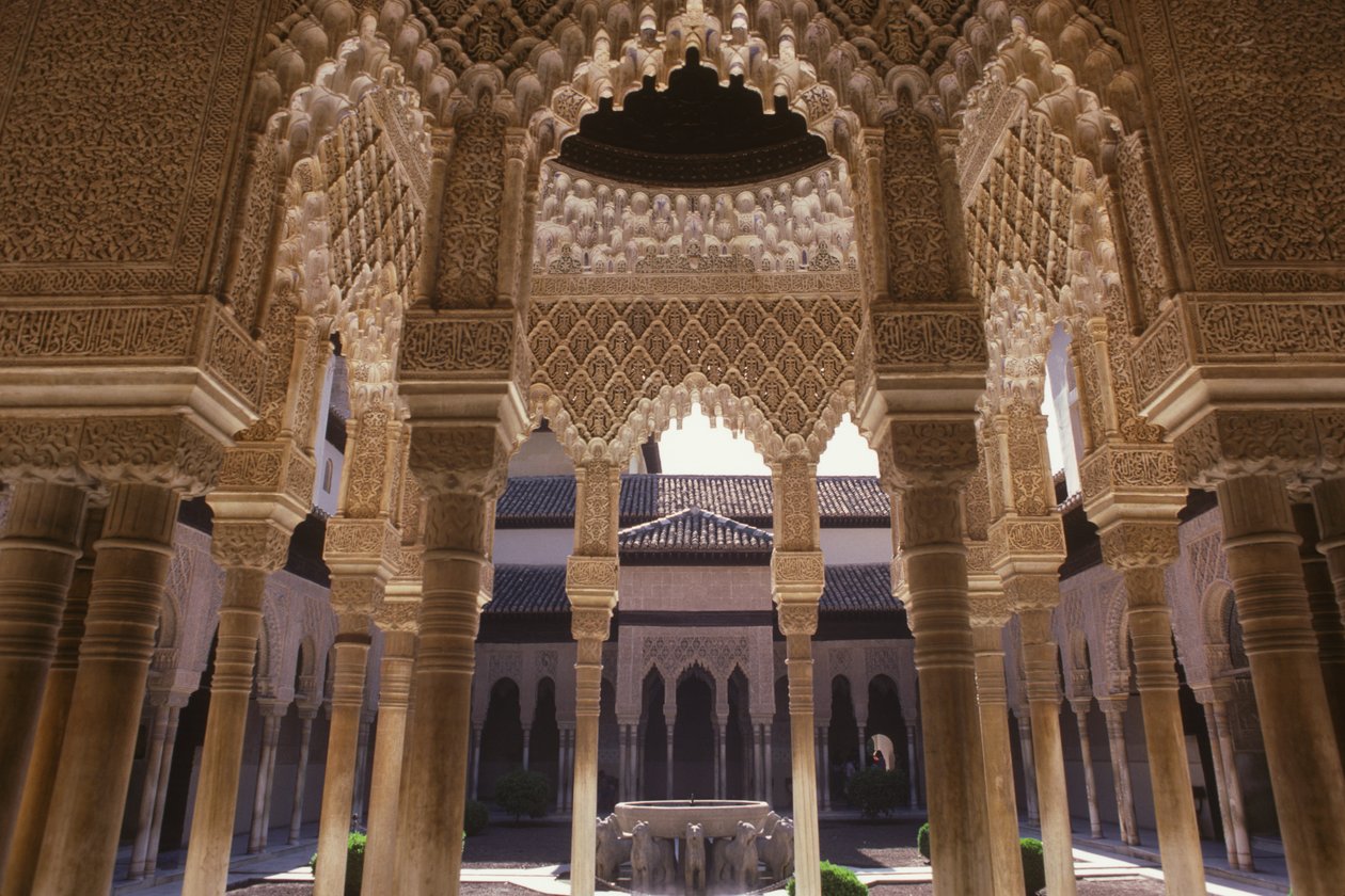 A corte dos leões de Islamic School
